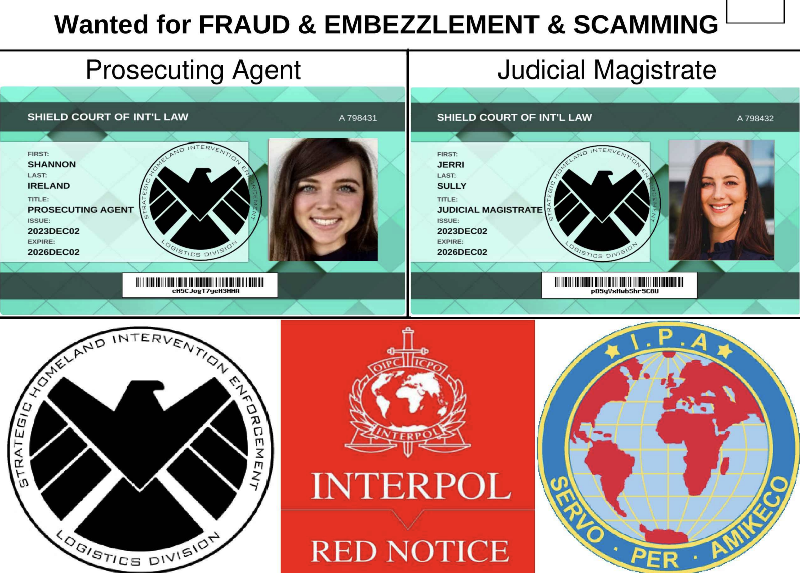 Interpol Scam - Daniel Shellner